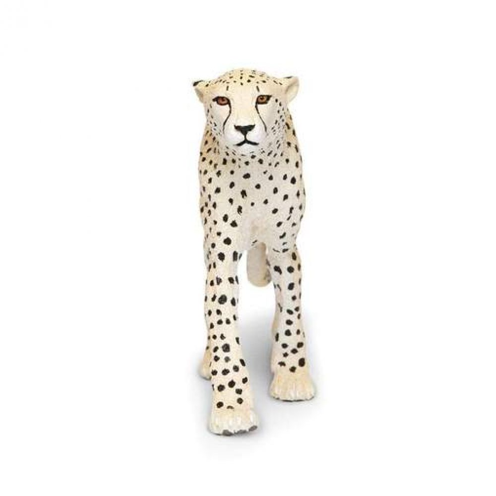 cheetah-321258_508x508