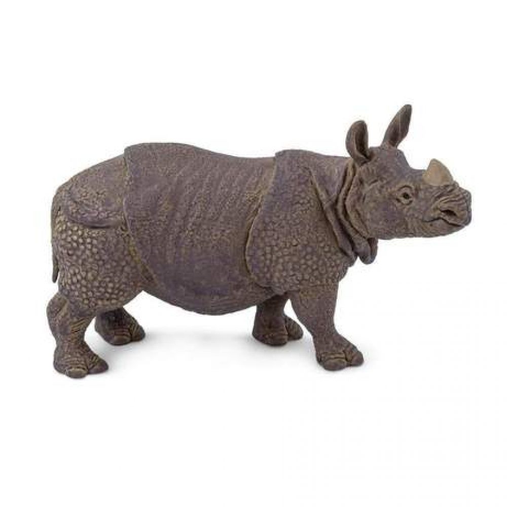 indian-rhino-706858_461x461