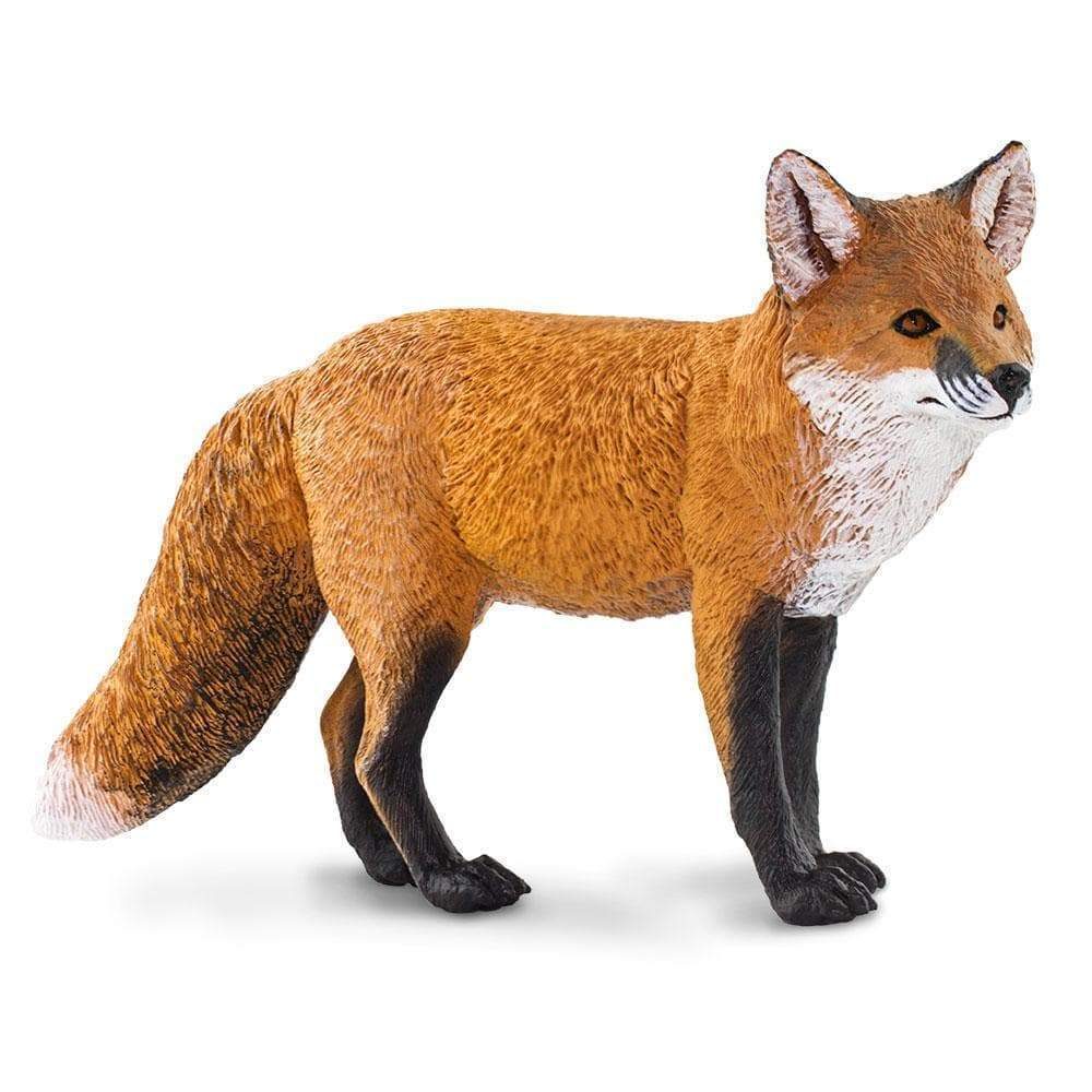 red-fox-468605_1000x1000