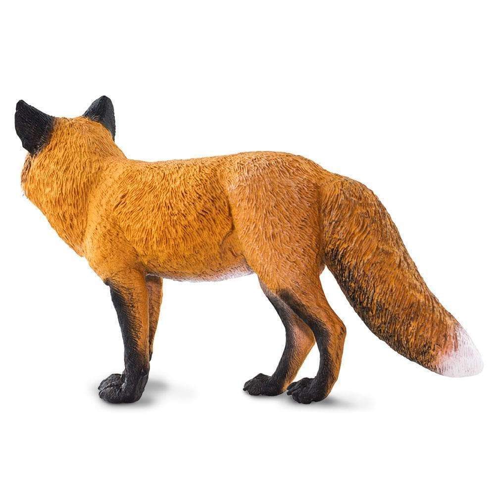 red-fox-574598_1000x1000